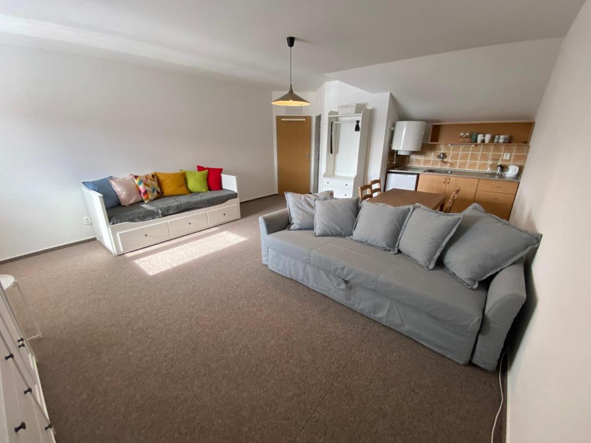Apartment Vltavanka